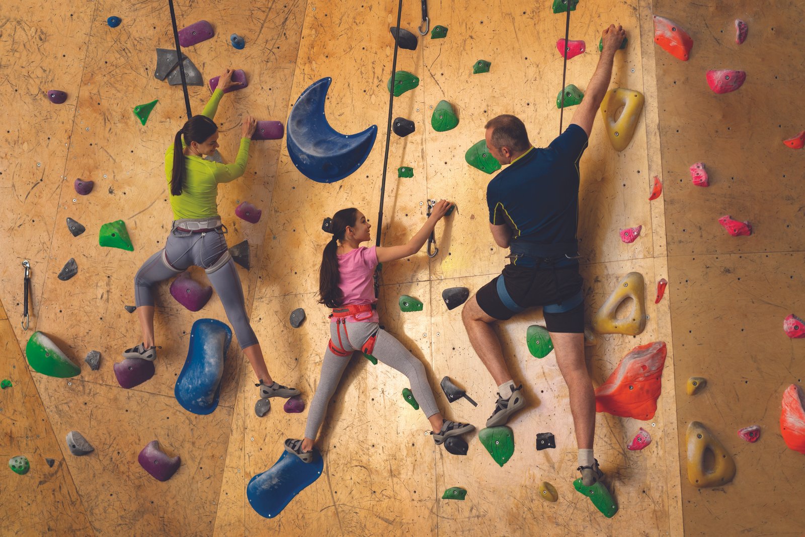 Climbing activity wall